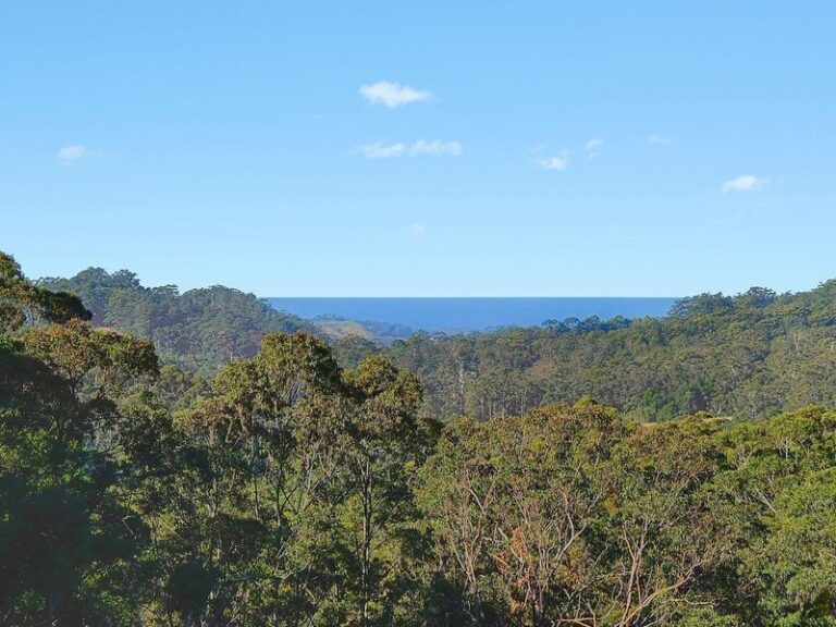 Sold - 373A Mount Browne Road - New Property in UPPER ORARA - Real Estate by McGrath Coffs