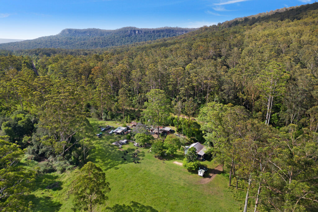 Sold - 239 Waihou Forest Road - New Property in Glenreagh - Real Estate by John Hall