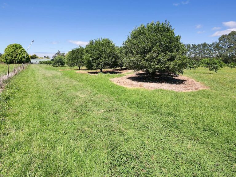 Sold - Lot 739, 2 Crossmaglen Road - New Property in BONVILLE - Real Estate by Rebecca Harrington