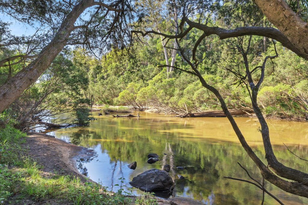 Sold - 691 Lower Kangaroo Creek Road - New Property in Coutts Crossing - Real Estate by John Hall