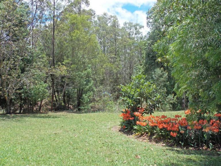 Sold - 21 Lorikeet Place - New Property in GLENREAGH - Real Estate by McGrath Coffs