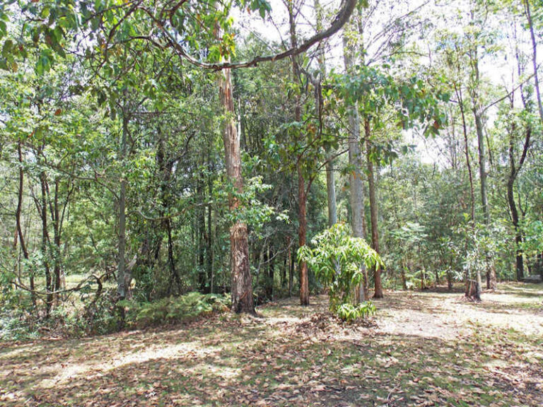 Sold - 21 Lorikeet Place - New Property in GLENREAGH - Real Estate by McGrath Coffs