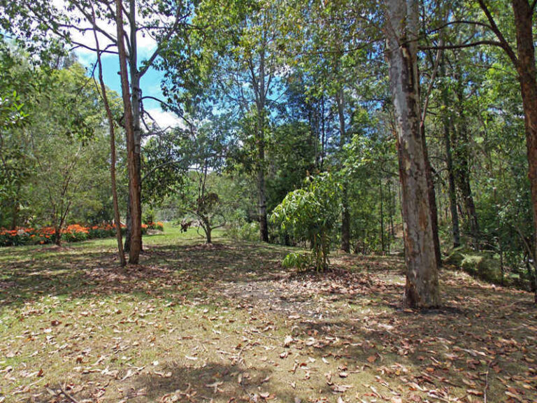 Sold - 21 Lorikeet Place - New Property in GLENREAGH - Real Estate by McGrath Coffs