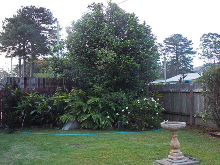 Sold - 76 Coramba Road - New Property in GLENREAGH - Real Estate by McGrath Coffs