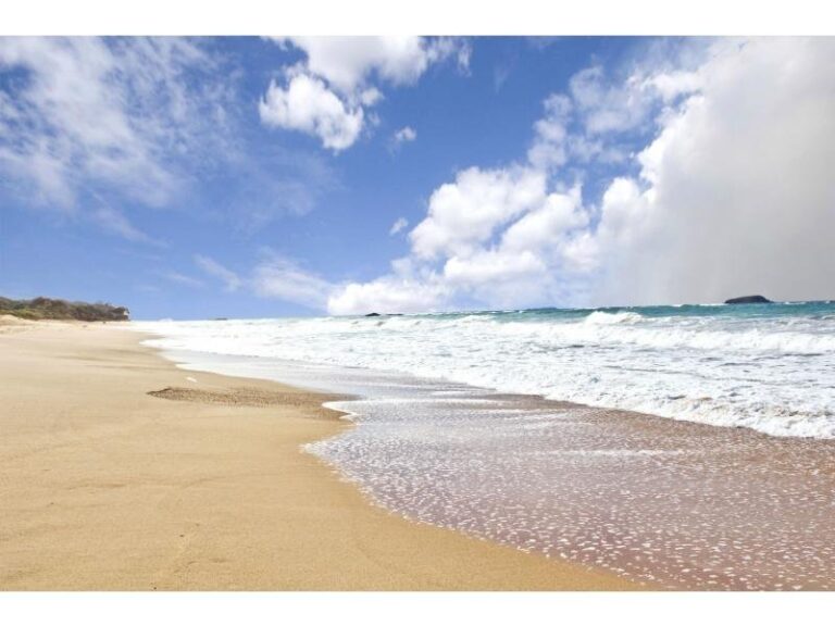 Sold - 6 Sapphire Crescent - New Property in Sapphire Beach - Real Estate by McGrath Coffs