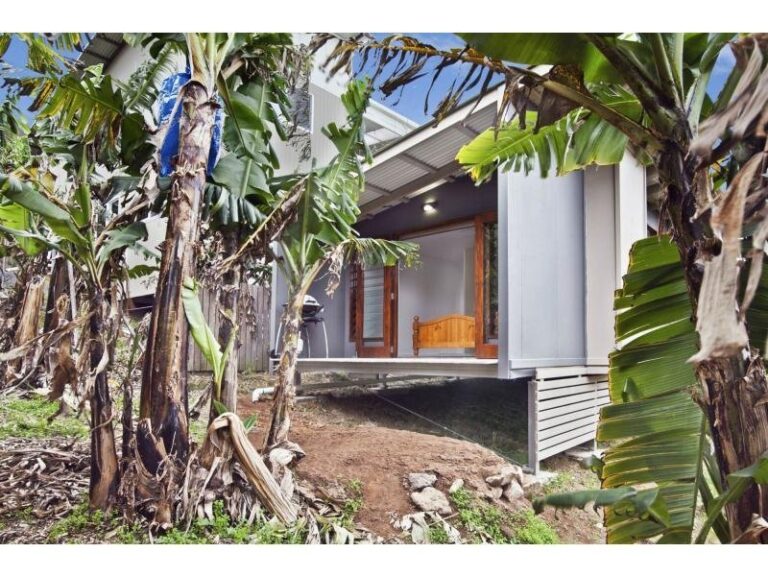 Sold - 19 Fern Tree Place - New Property in KORORA - Real Estate by McGrath Coffs