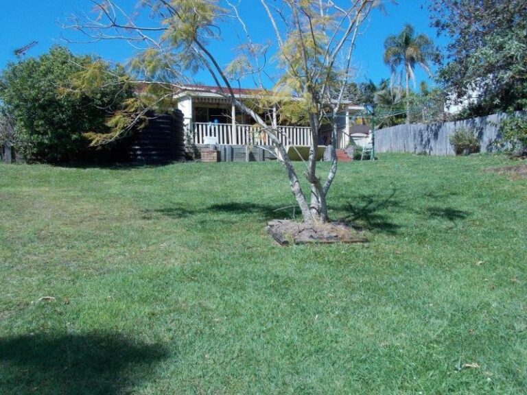 Sold - 6 Lorikeet Avenue - New Property in BOAMBEE EAST - Real Estate by McGrath Coffs