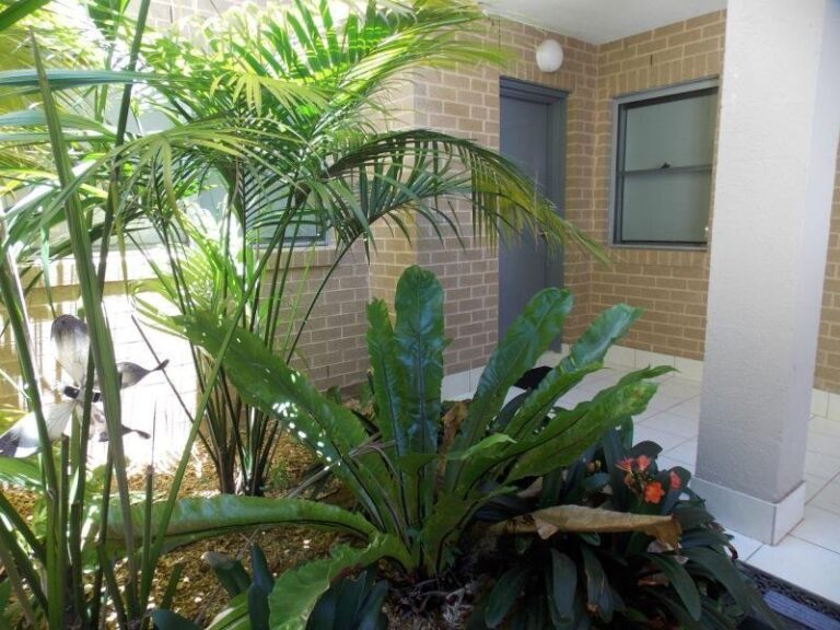 Sold - 2/36 Moore Street - New Property in COFFS HARBOUR - Real Estate by McGrath Coffs
