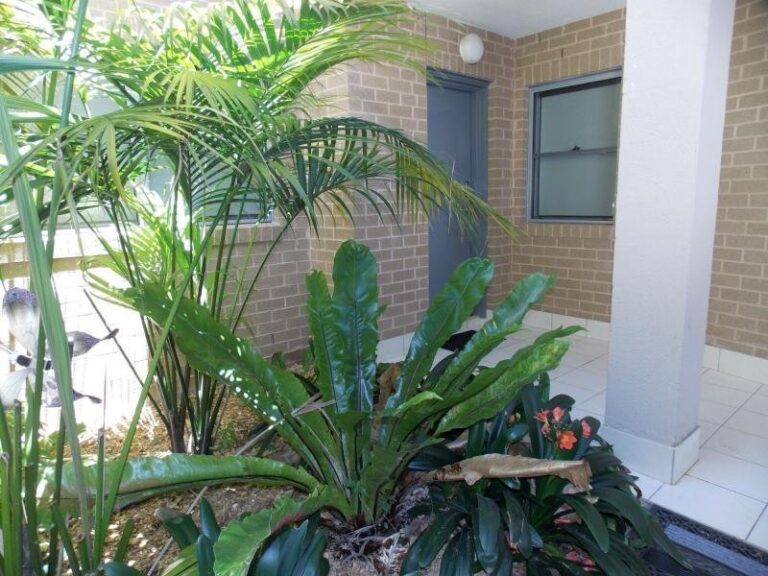 Sold - 2/36 Moore Street - New Property in COFFS HARBOUR - Real Estate by McGrath Coffs