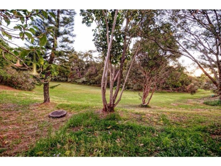 Sold - 1 Hacking Court - New Property in COFFS HARBOUR - Real Estate by McGrath Coffs