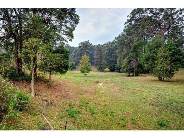 Sold - 52 Palm Grove Place - New Property in MOONEE BEACH - Real Estate by McGrath Coffs