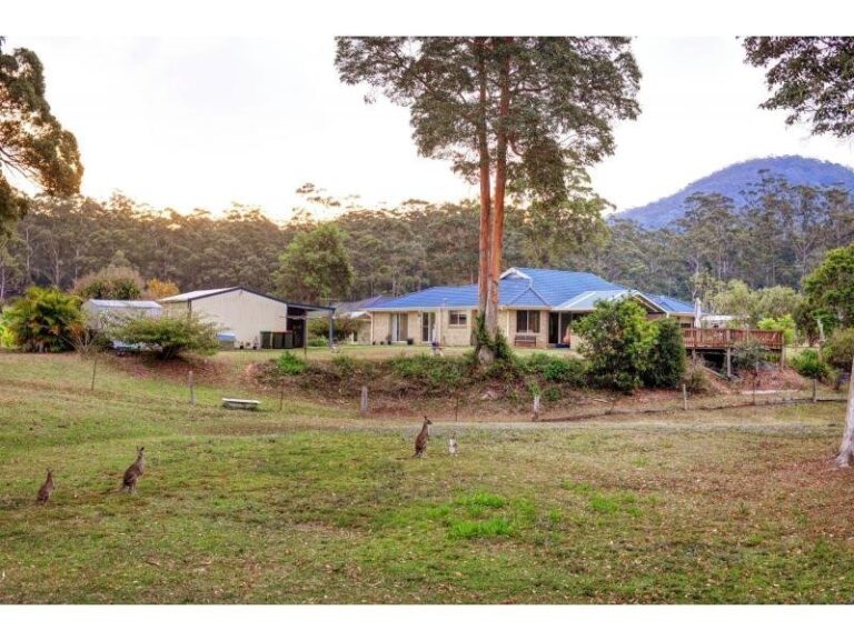 Sold - 52 Palm Grove Place - New Property in MOONEE BEACH - Real Estate by McGrath Coffs