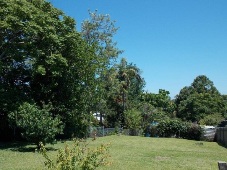 Sold - 63 Bailey Avenue - New Property in COFFS HARBOUR - Real Estate by McGrath Coffs