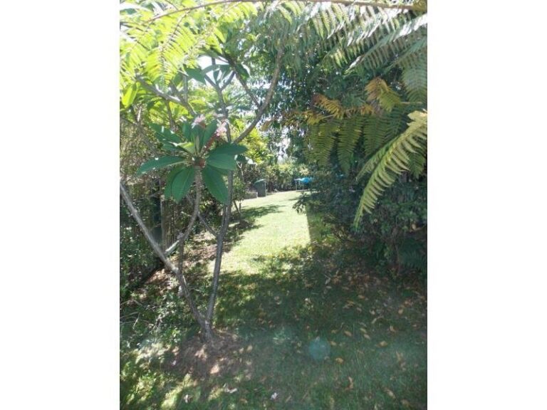 Sold - 85 Gundagai Street - New Property in COFFS HARBOUR - Real Estate by McGrath Coffs