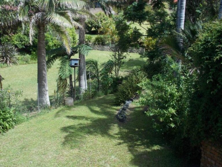 Sold - 5 Lorikeet Avenue - New Property in BOAMBEE EAST - Real Estate by McGrath Coffs