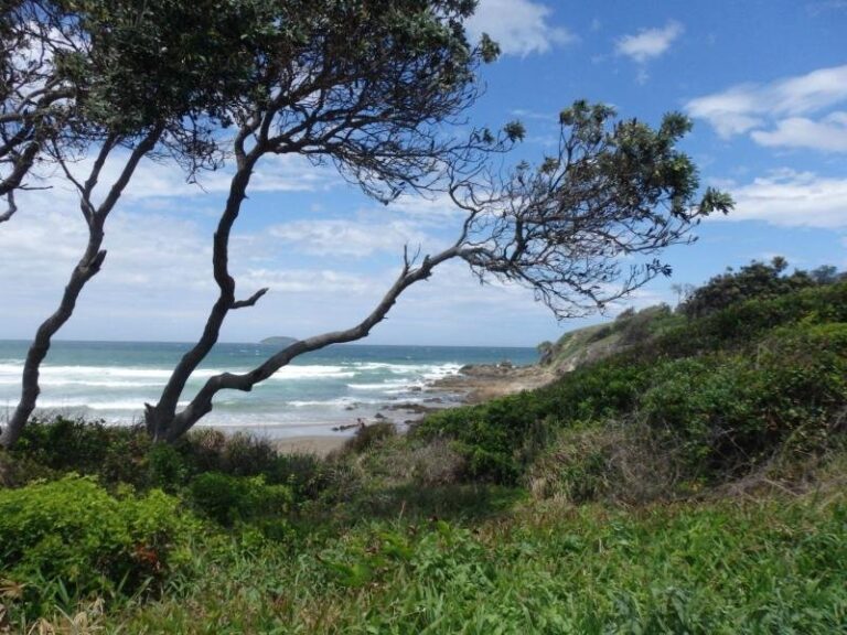 Sold - 1/113 Fiddaman Road - New Property in EMERALD BEACH - Real Estate by McGrath Coffs