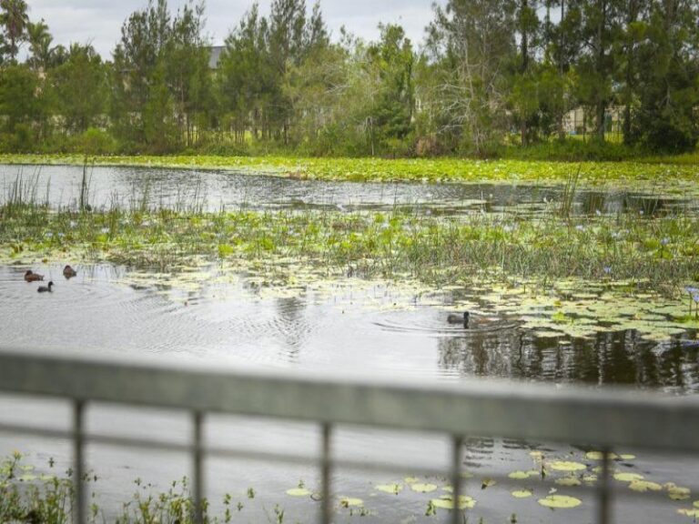 Sold - 6 Lake Court - New Property in URUNGA - Real Estate by McGrath Coffs