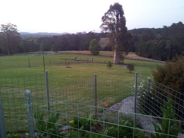 Sold - 534 Eastbank Road, - New Property in CORAMBA - Real Estate by McGrath Coffs