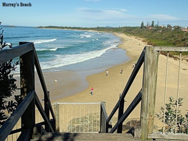 Sold - 4 Bridge Street - New Property in SAWTELL - Real Estate by McGrath Coffs