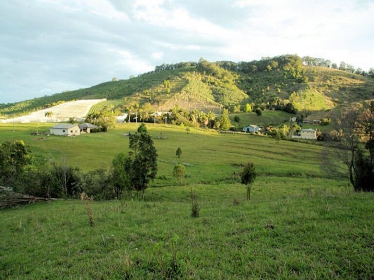 Sold - 50 Bennetts Road - New Property in COFFS HARBOUR - Real Estate by McGrath Coffs