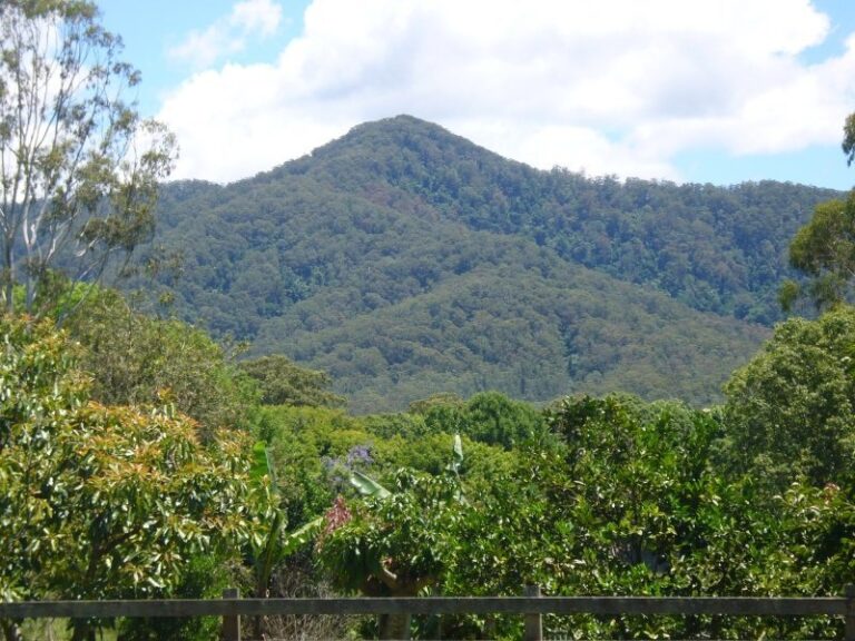 Sold - 119 BRAFORD Drive - New Property in BONVILLE - Real Estate by McGrath Coffs