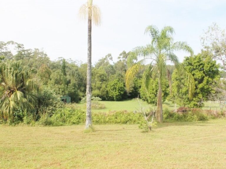 Sold - 119 BRAFORD Drive - New Property in BONVILLE - Real Estate by McGrath Coffs