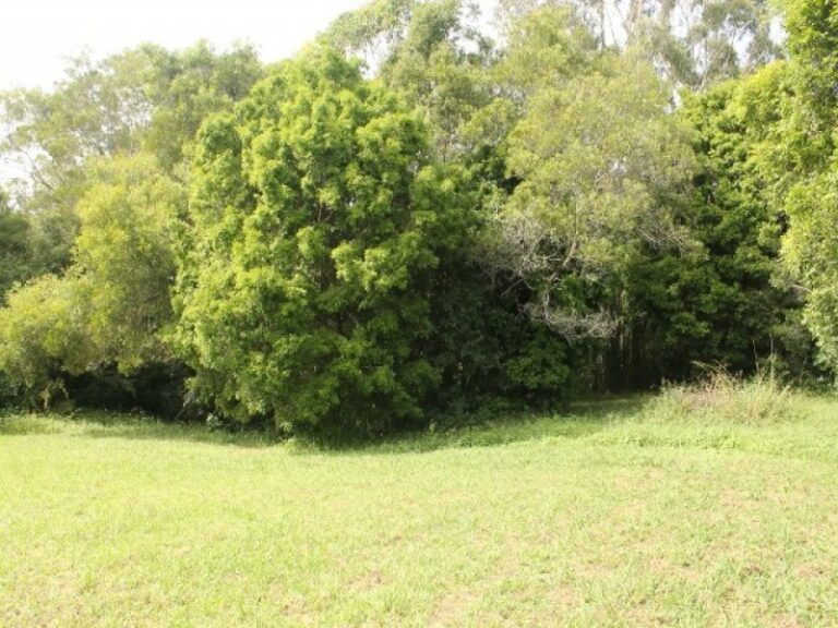 Sold - 119 BRAFORD Drive - New Property in BONVILLE - Real Estate by McGrath Coffs