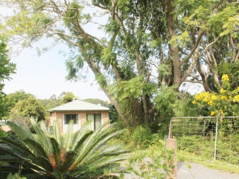 Sold - 119 BRAFORD Drive - New Property in BONVILLE - Real Estate by McGrath Coffs