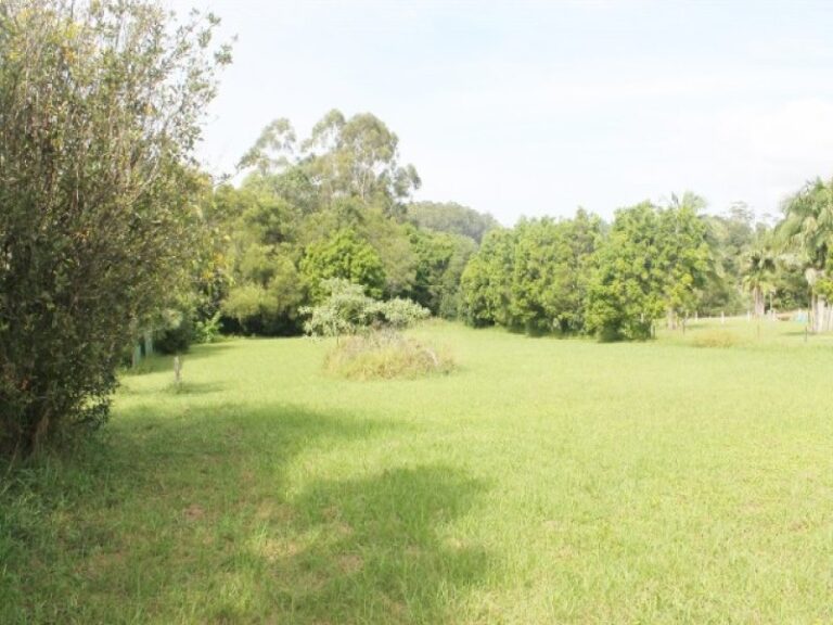 Sold - 119 BRAFORD Drive - New Property in BONVILLE - Real Estate by McGrath Coffs