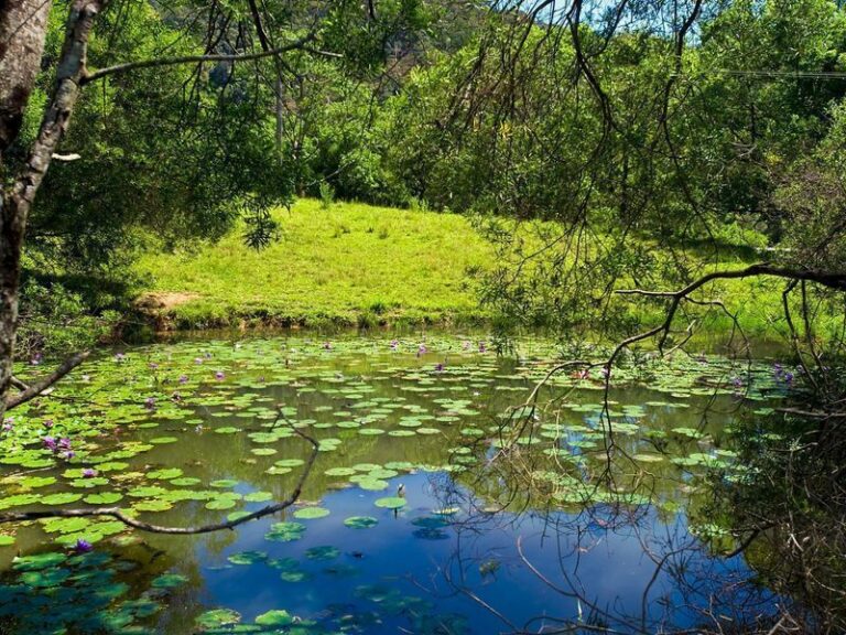 Sold - 219 Cassidys Road - New Property in BONVILLE - Real Estate by McGrath Coffs