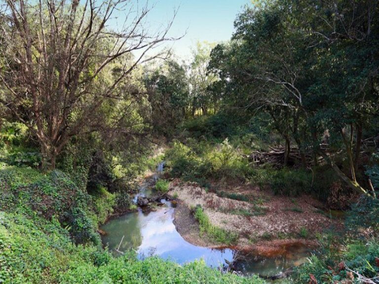 Sold - 22 High Street - New Property in BOWRAVILLE - Real Estate by McGrath Nambucca