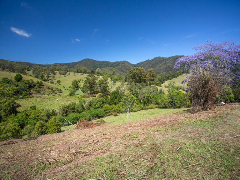Sold - 558 Mchughs Creek Road - New Property in SOUTH ARM - Real Estate by McGrath Nambucca