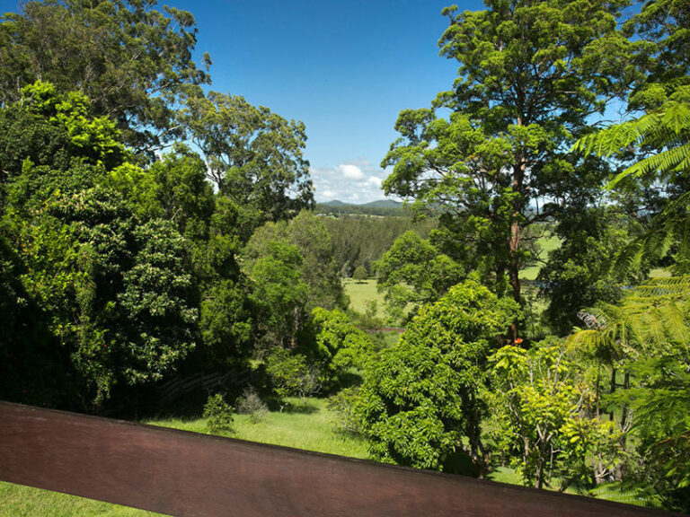 Sold - 113 Wallace Street - New Property in MACKSVILLE - Real Estate by McGrath Nambucca