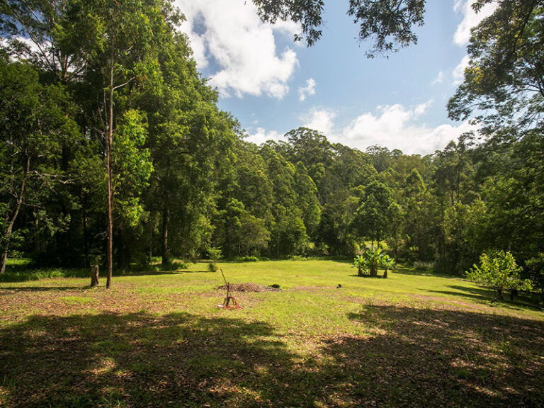 Sold - 134 Talarm Road - New Property in TALARM - Real Estate by McGrath Nambucca