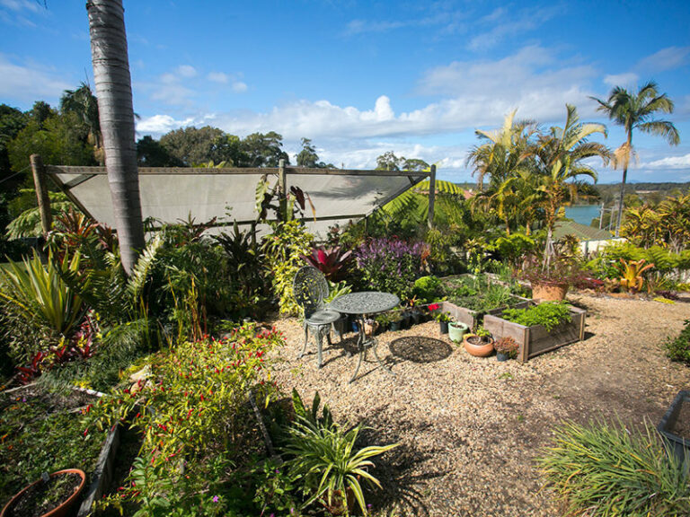 Sold - 13 West Street - New Property in NAMBUCCA HEADS - Real Estate by McGrath Nambucca