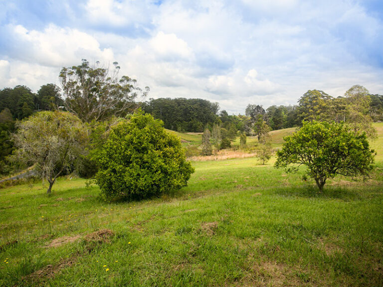 Sold - Lot 571 Wirrimbi Road - New Property in NEWEE CREEK - Real Estate by McGrath Nambucca