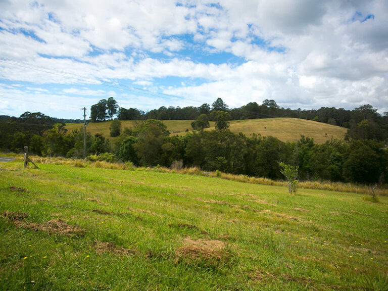Sold - Lot 571 Wirrimbi Road - New Property in NEWEE CREEK - Real Estate by McGrath Nambucca