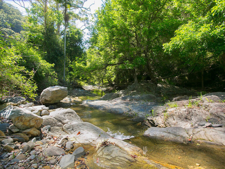Sold - 1881 South Arm Road - New Property in SOUTH ARM - Real Estate by McGrath Nambucca