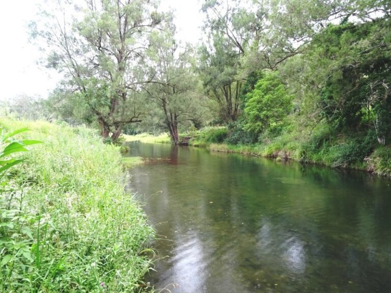 Sold - 1251 South Arm Road - New Property in SOUTH ARM - Real Estate by McGrath Nambucca