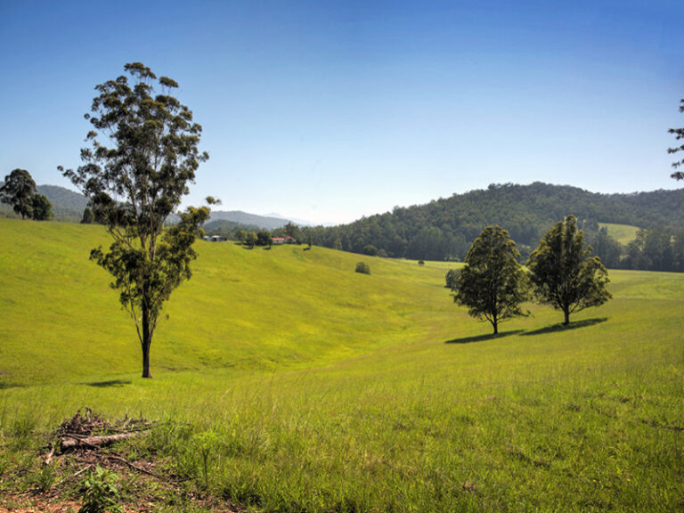 Sold - 1251 South Arm Road - New Property in SOUTH ARM - Real Estate by McGrath Nambucca