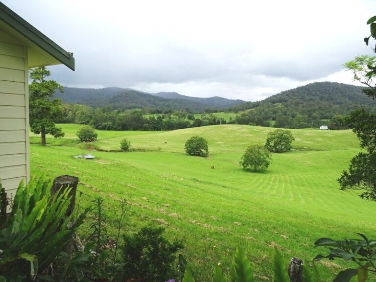 Sold - 1251 South Arm Road - New Property in SOUTH ARM - Real Estate by McGrath Nambucca