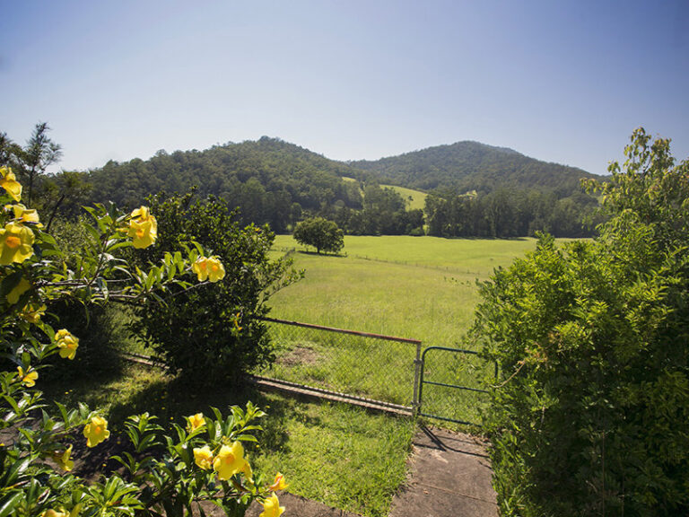 Sold - 1251 South Arm Road - New Property in SOUTH ARM - Real Estate by McGrath Nambucca