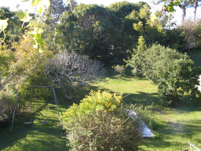 Sold - 4 Sport Street - New Property in NAMBUCCA HEADS - Real Estate by McGrath Nambucca