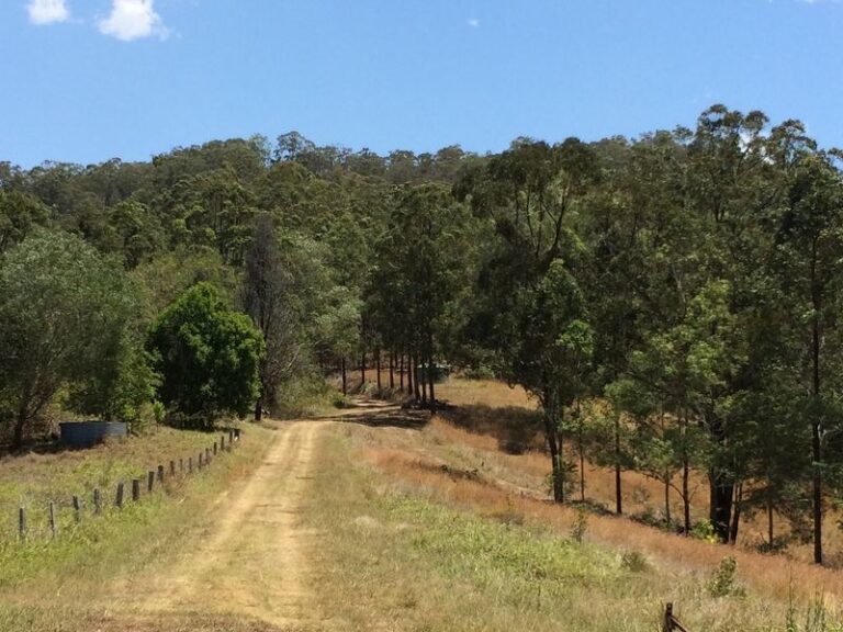 Lot 10, 62 Simpsons Ridge Road, South ARM