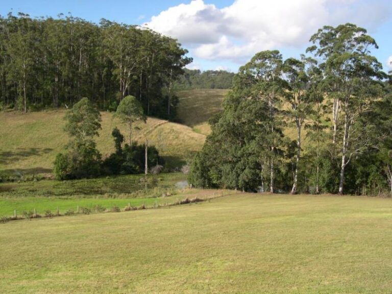 Sold - 5 Amanda Close - New Property in WARRELL CREEK - Real Estate by McGrath Nambucca