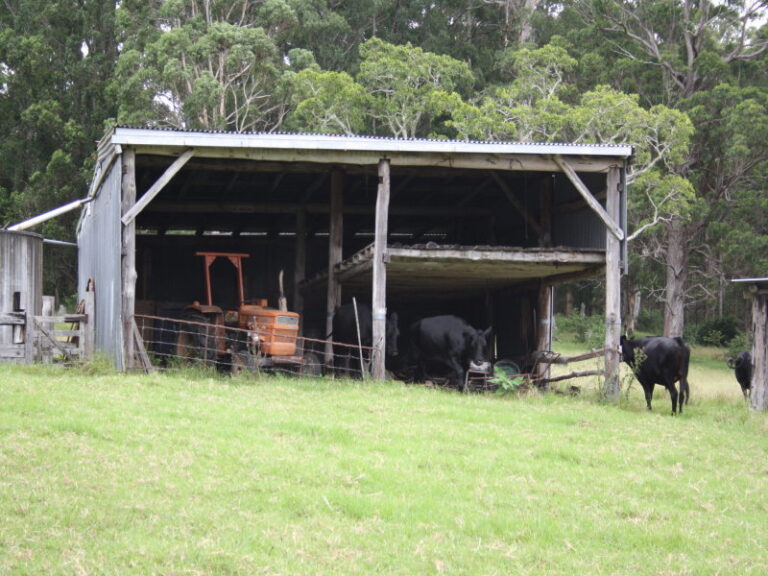 Sold - 50 Elliots Road - New Property in EUNGAI CREEK - Real Estate by McGrath Nambucca
