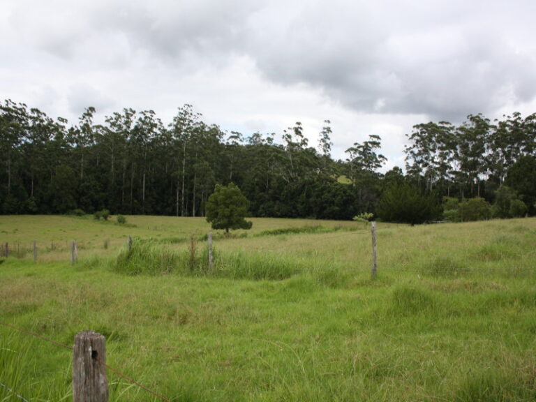 Sold - 50 Elliots Road - New Property in EUNGAI CREEK - Real Estate by McGrath Nambucca