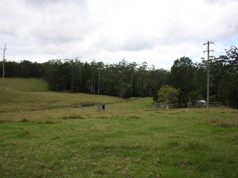 Sold - 50 Elliots Road - New Property in EUNGAI CREEK - Real Estate by McGrath Nambucca