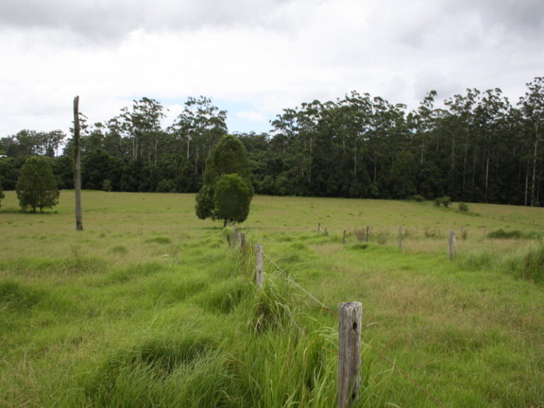 Sold - 50 Elliots Road - New Property in EUNGAI CREEK - Real Estate by McGrath Nambucca