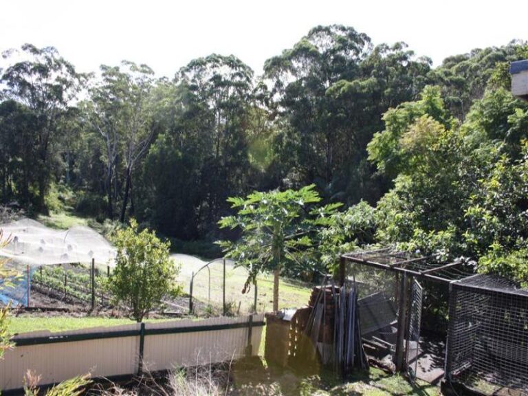 Sold - 16 Short Street - New Property in NAMBUCCA HEADS - Real Estate by McGrath Nambucca